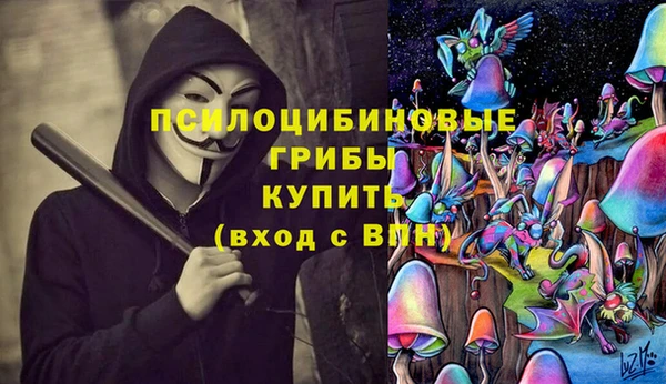 2c-b Балахна